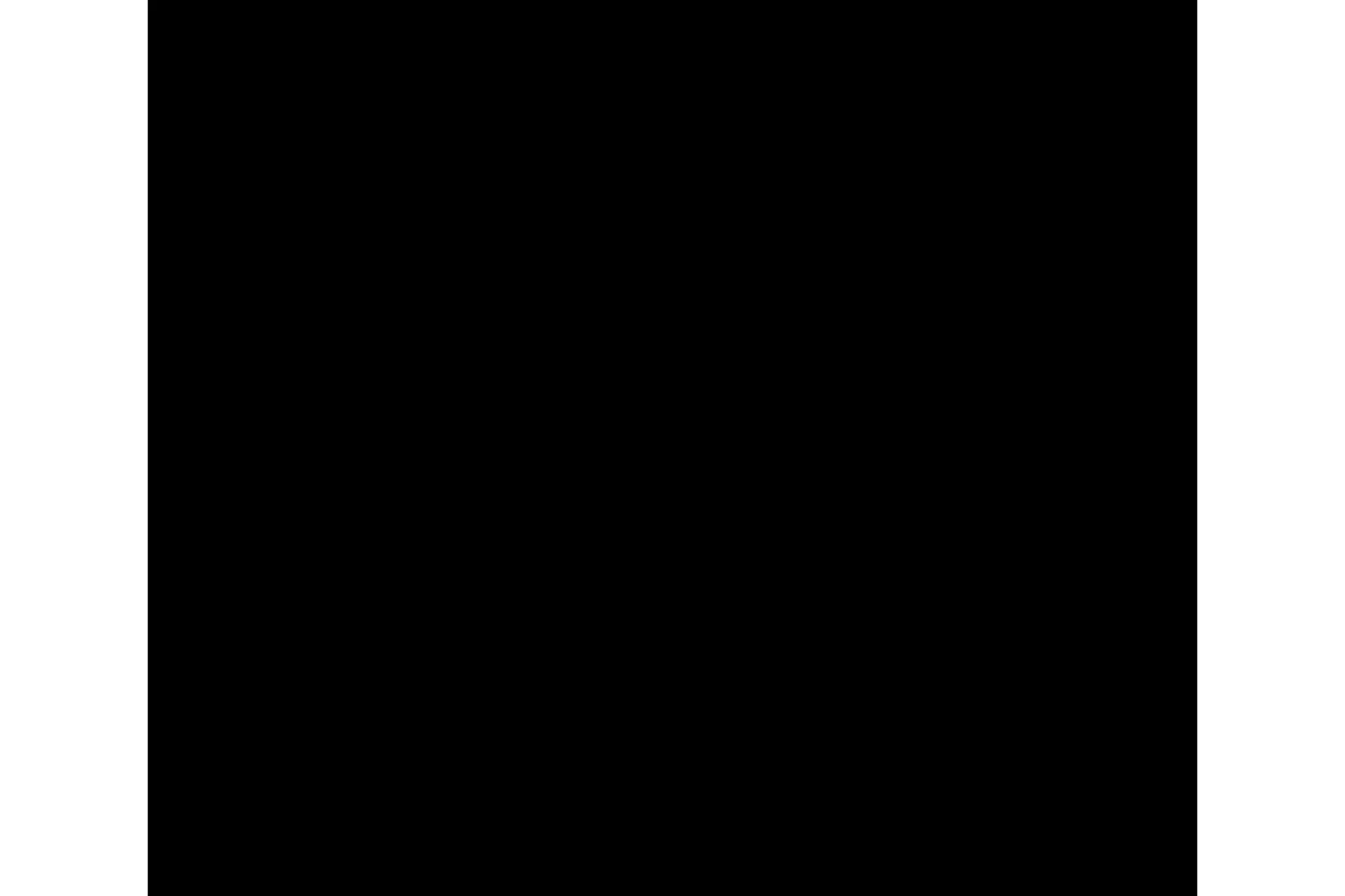 0517002.jpg (2)