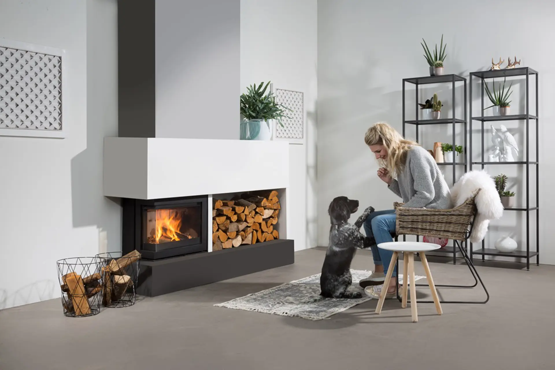 Smart 60 hoek model en hond.jpg