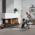 Smart 60 hoek model en hond.jpg