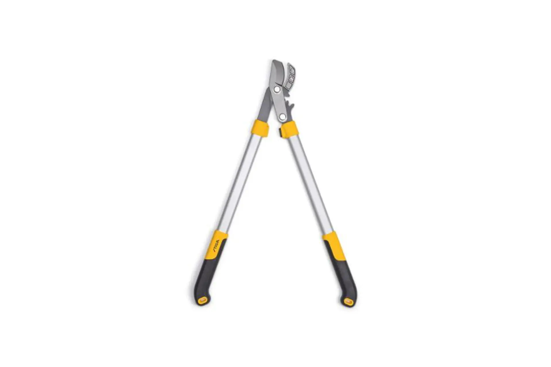 Aambeeld takkenschaar 2.png