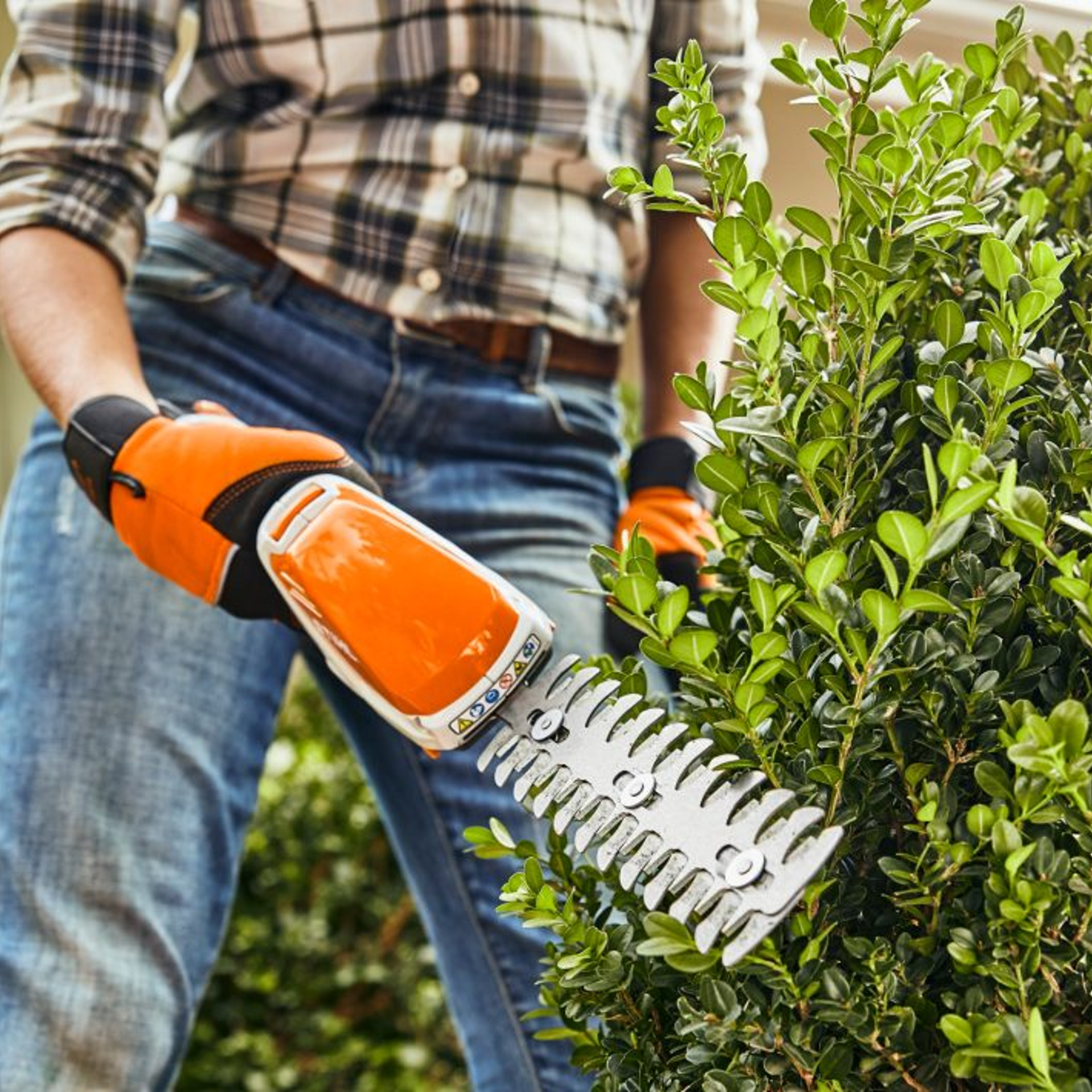 Stihl HSA 26 SET Buxusschaar