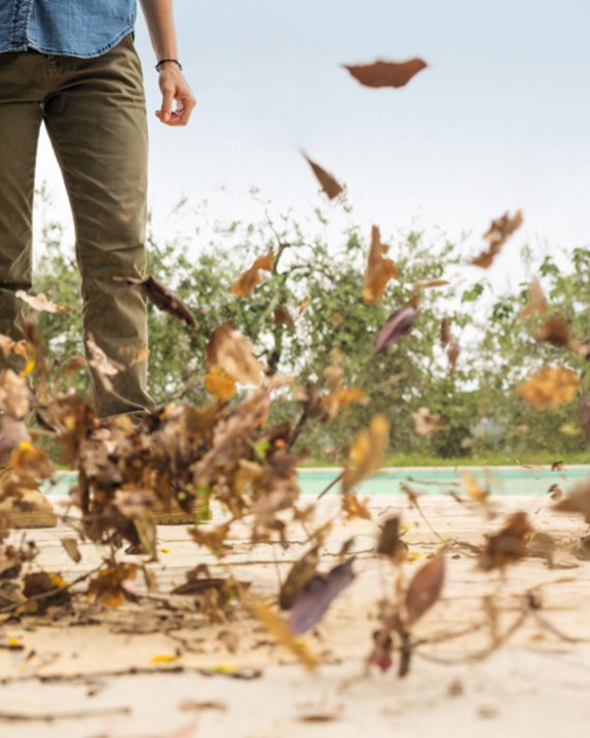 Gazononderhoud gedurende het hele jaar