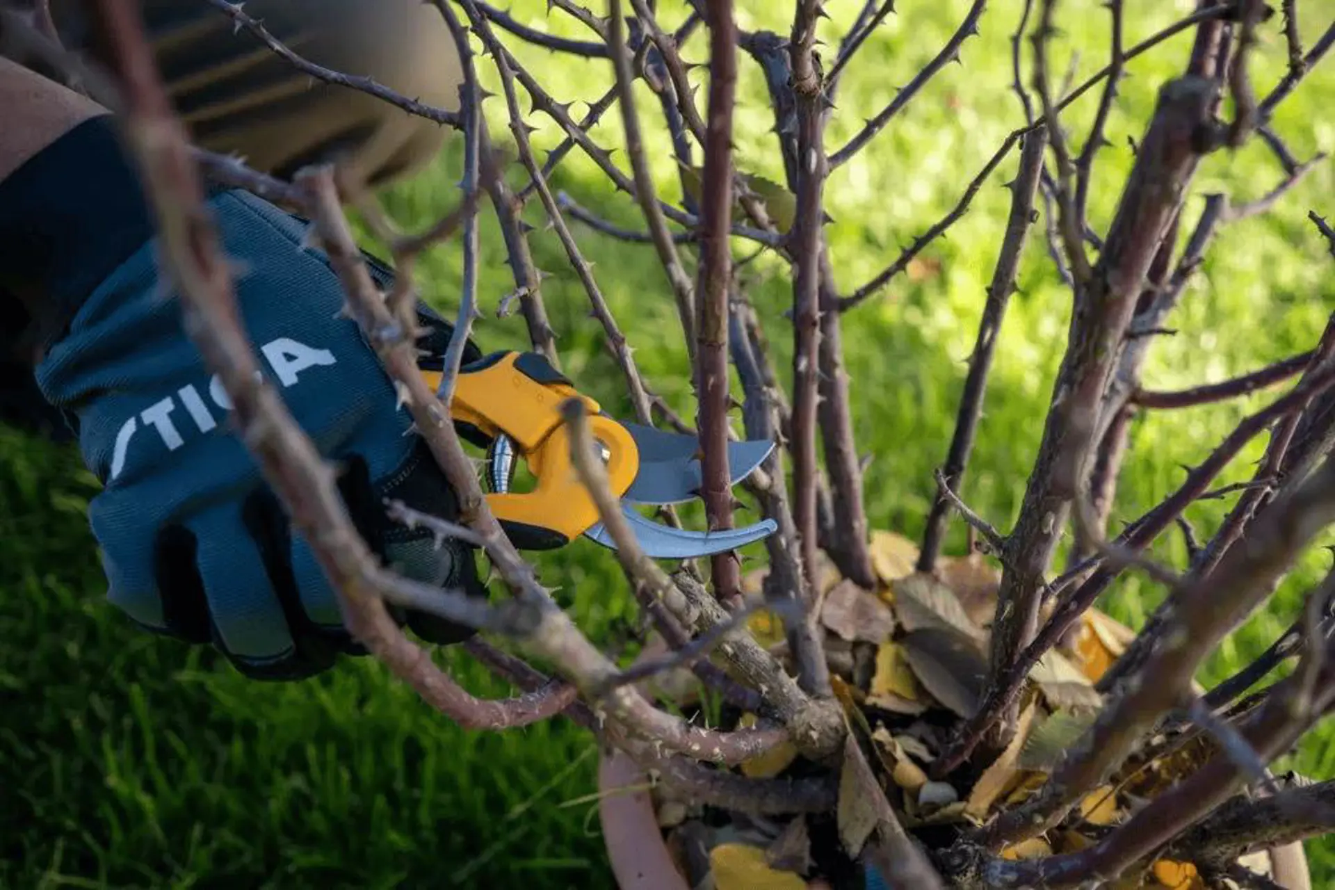 Bypass snoeischaar 1.png