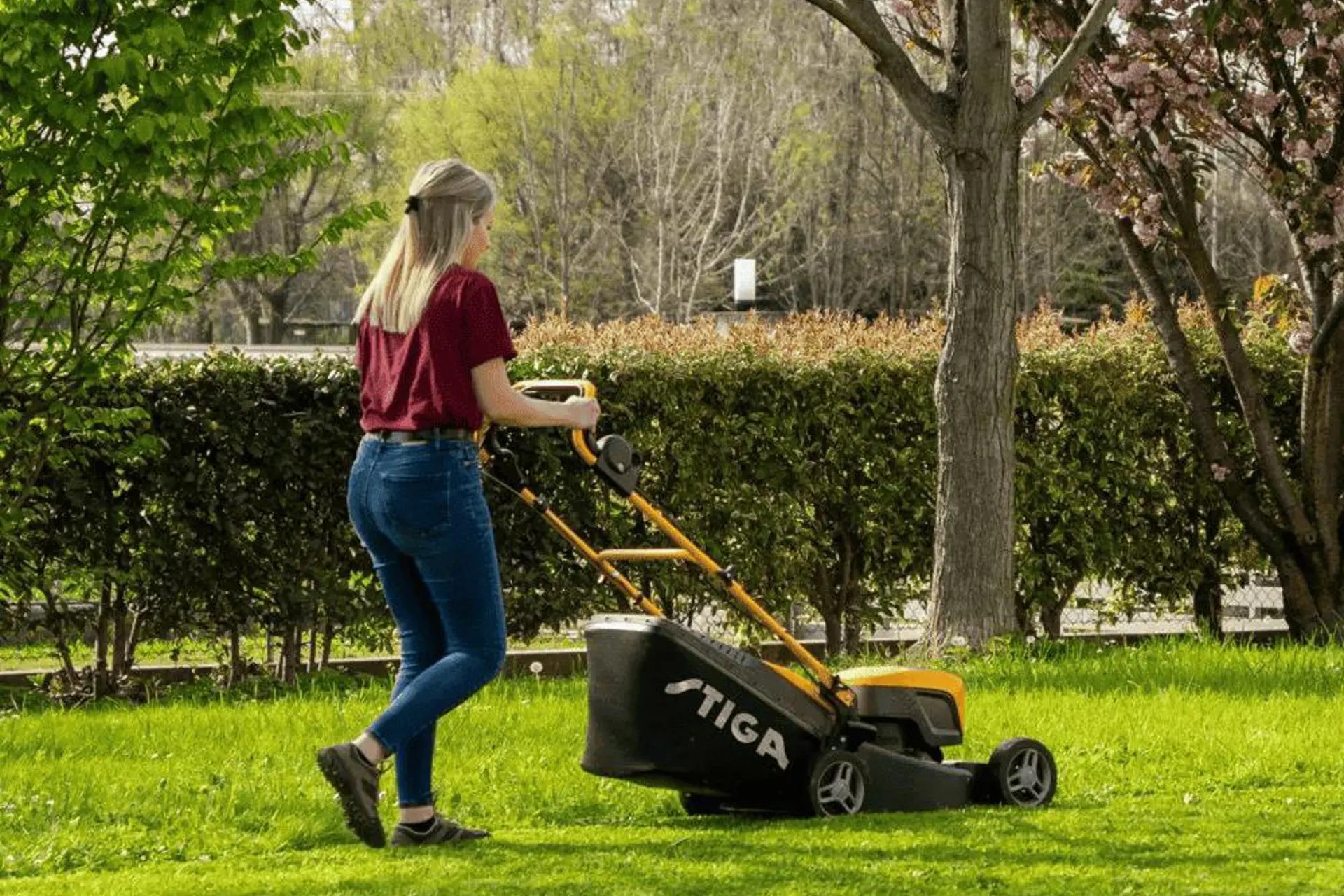 Stiga Collector 48S AE Kit 2.png