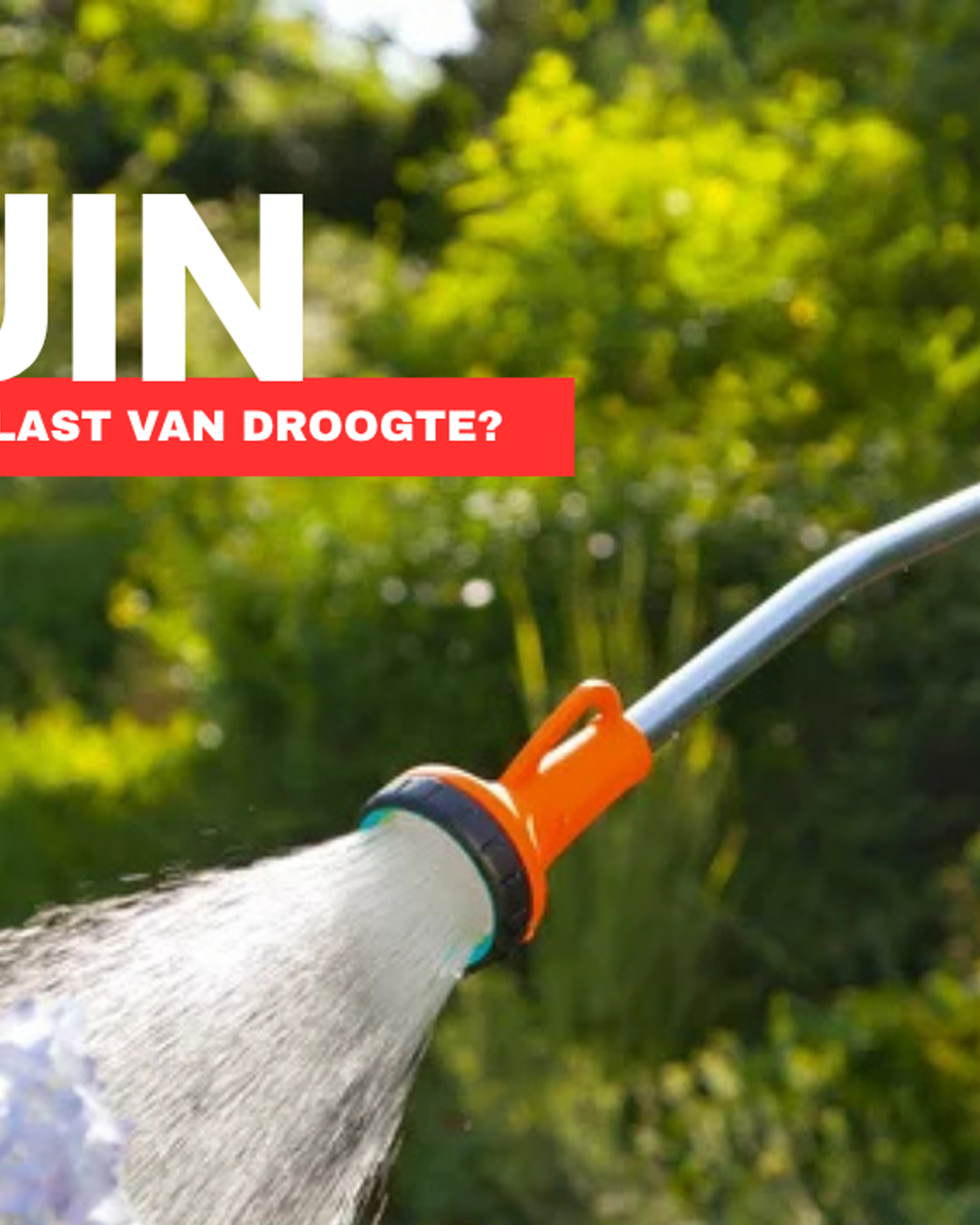 Slim water geven aan je tuin: Hoe doe je dat?
