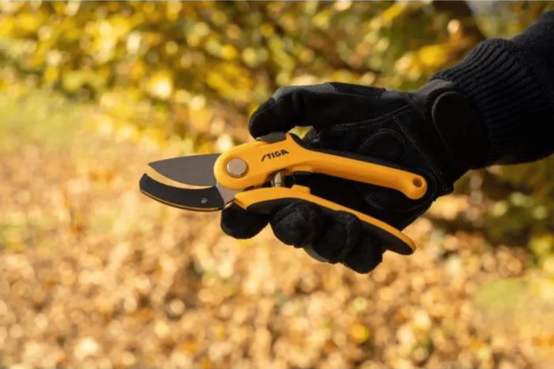 Aambeeld snoeischaar 1.png