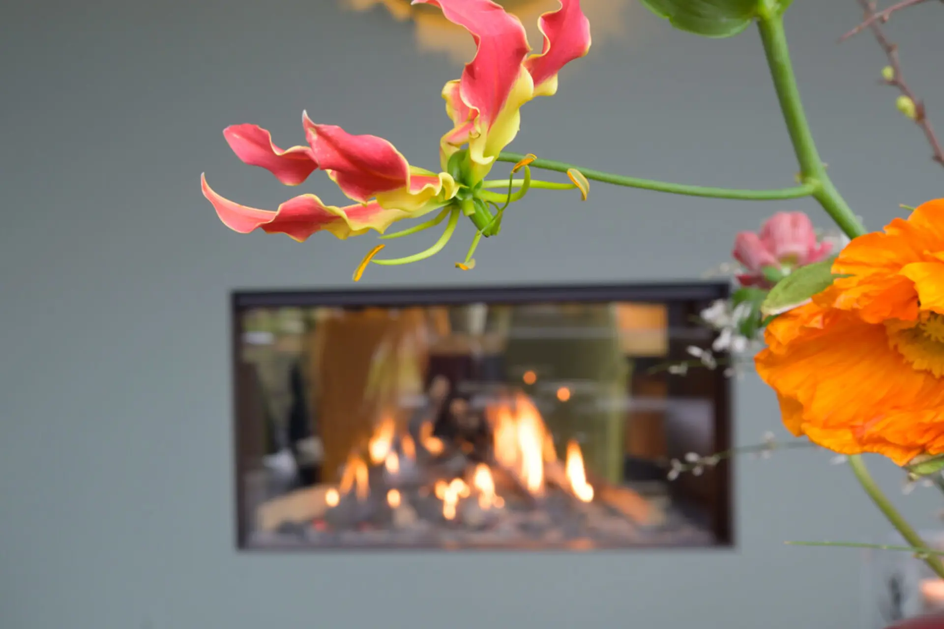 Wa 24 Van 153 Bewerkt Kopieren