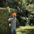 11553.png (1)
