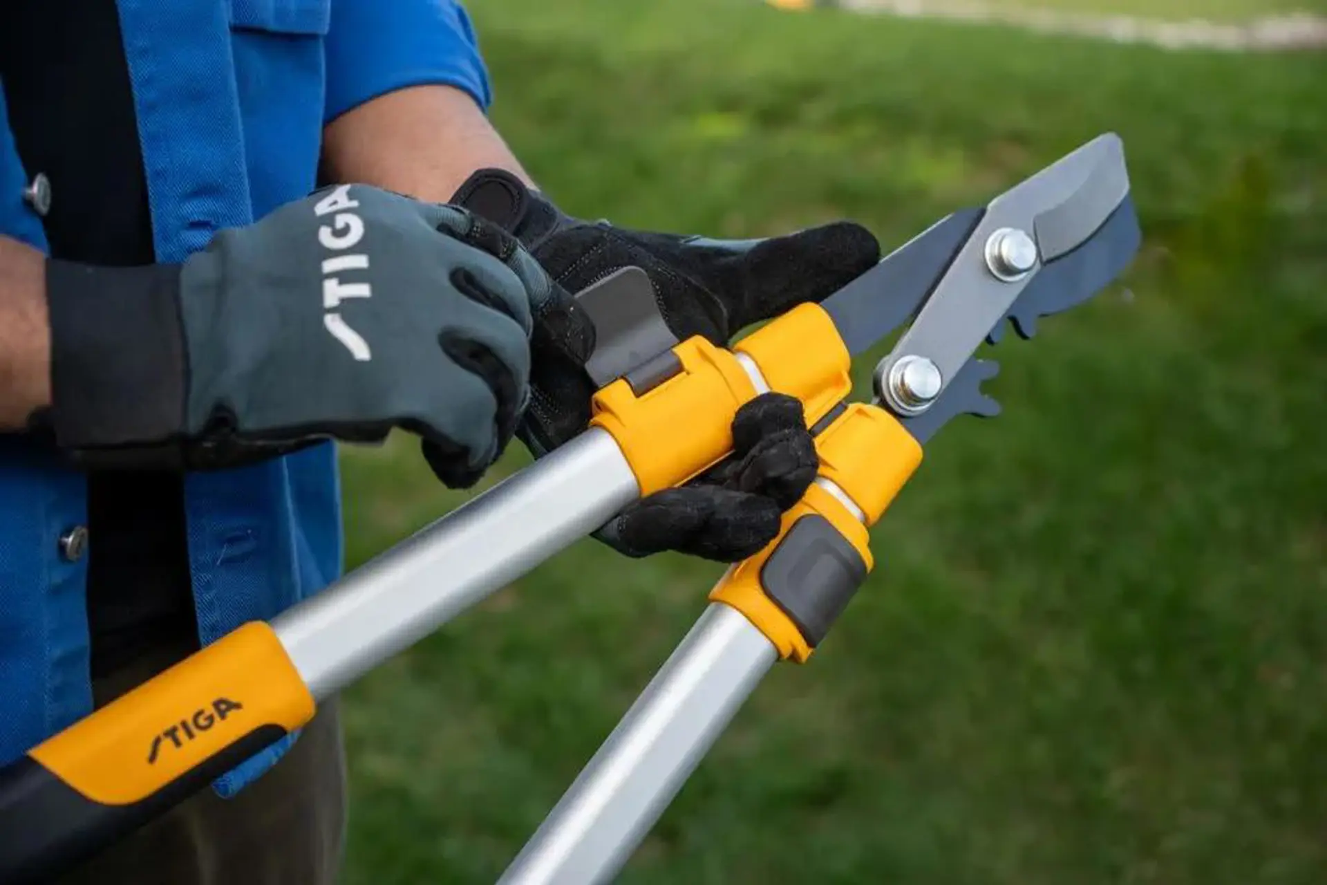 Telescopische takkenschaar 1.png