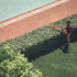 125831.png (1)