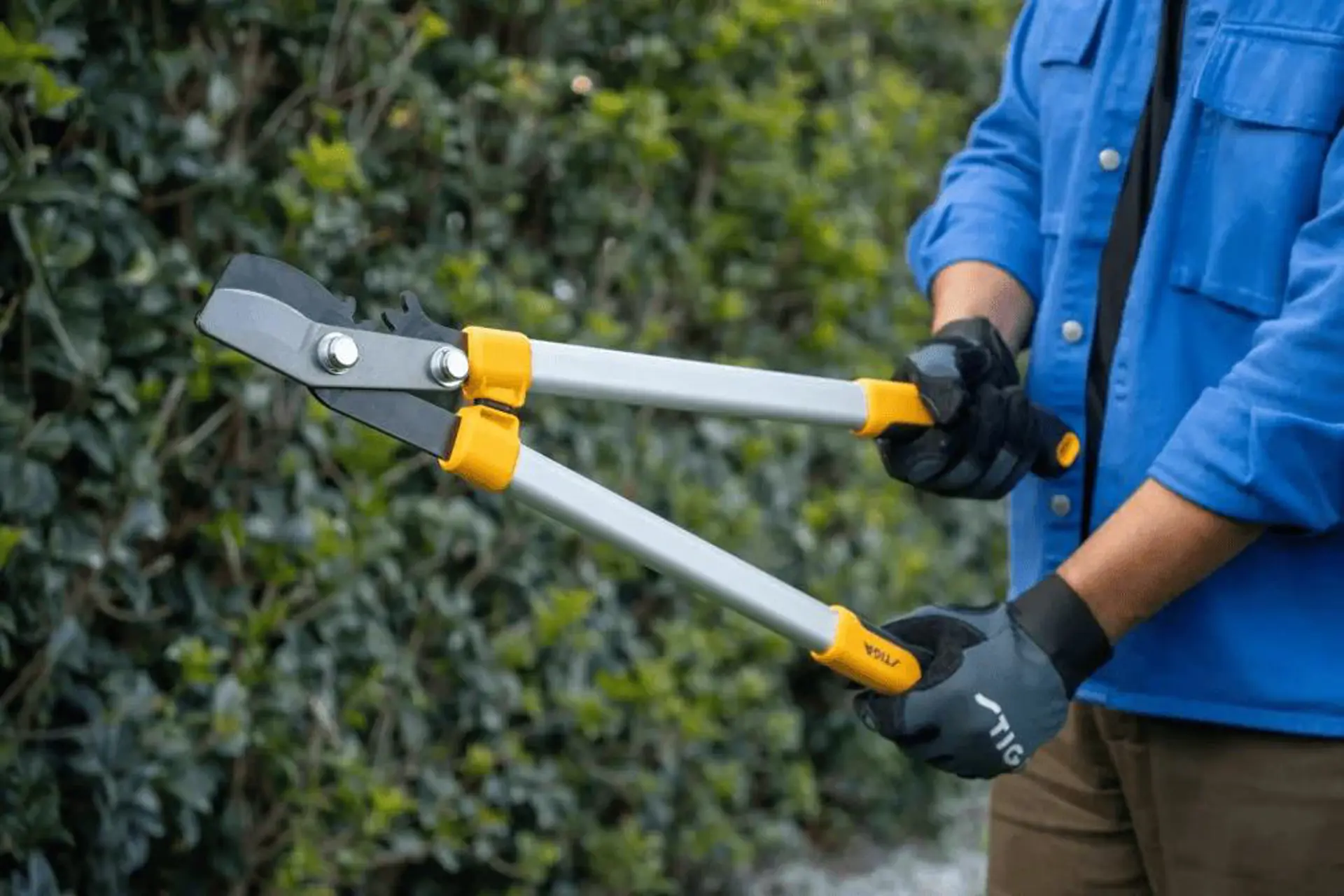 Bypass takkenschaar.png