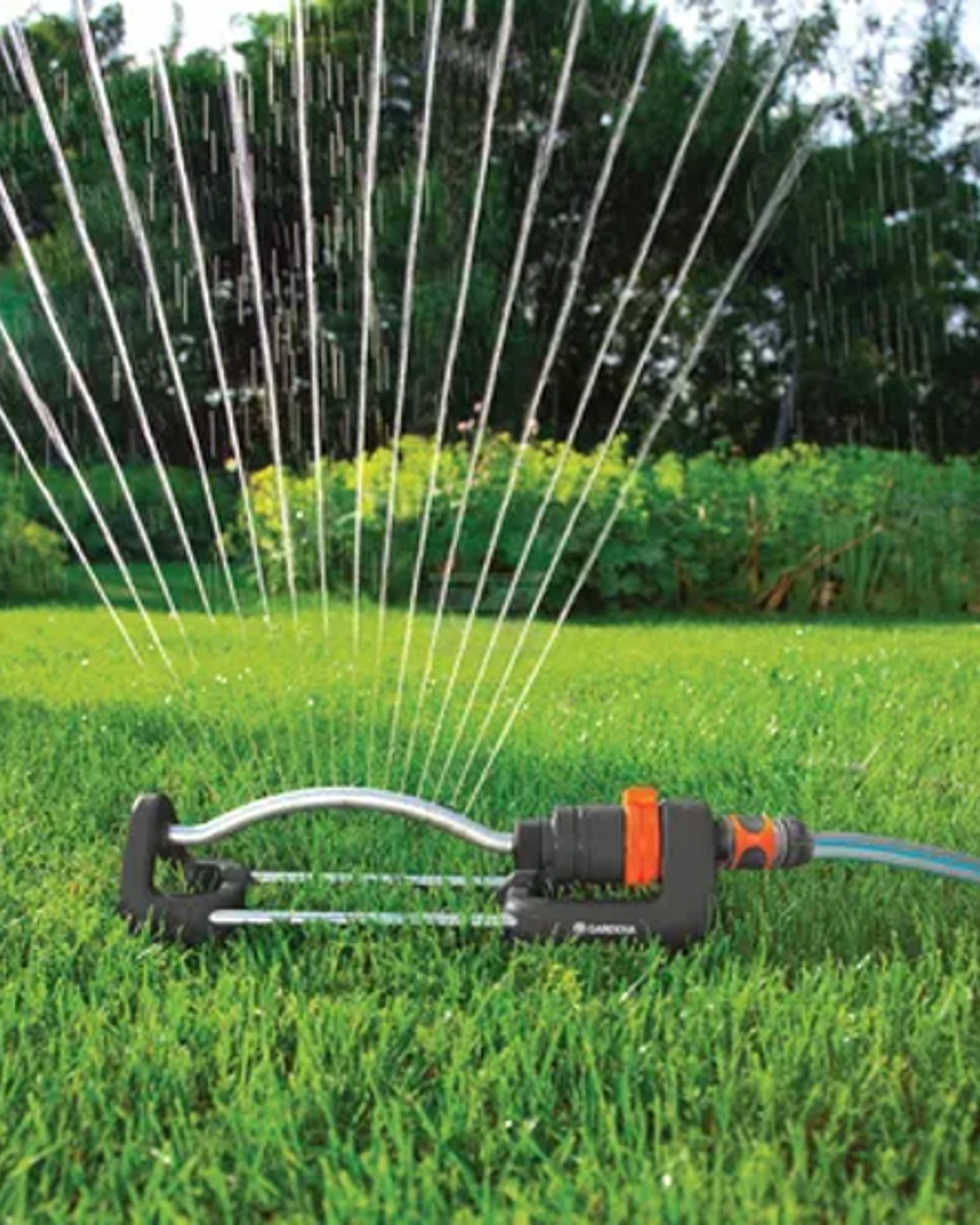 De juiste manier van sproeien in de zomer