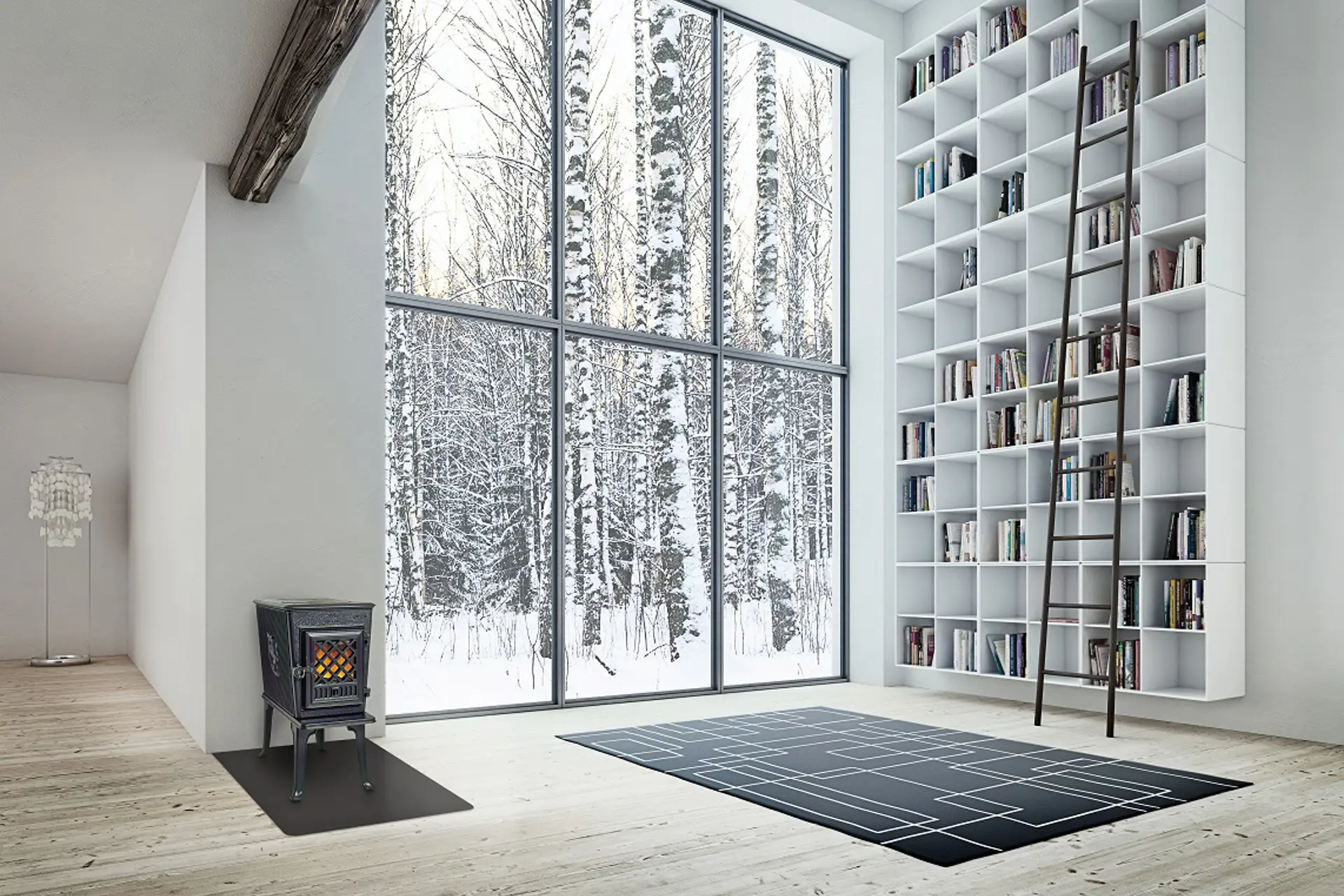 F_602_winter.jpg (1)