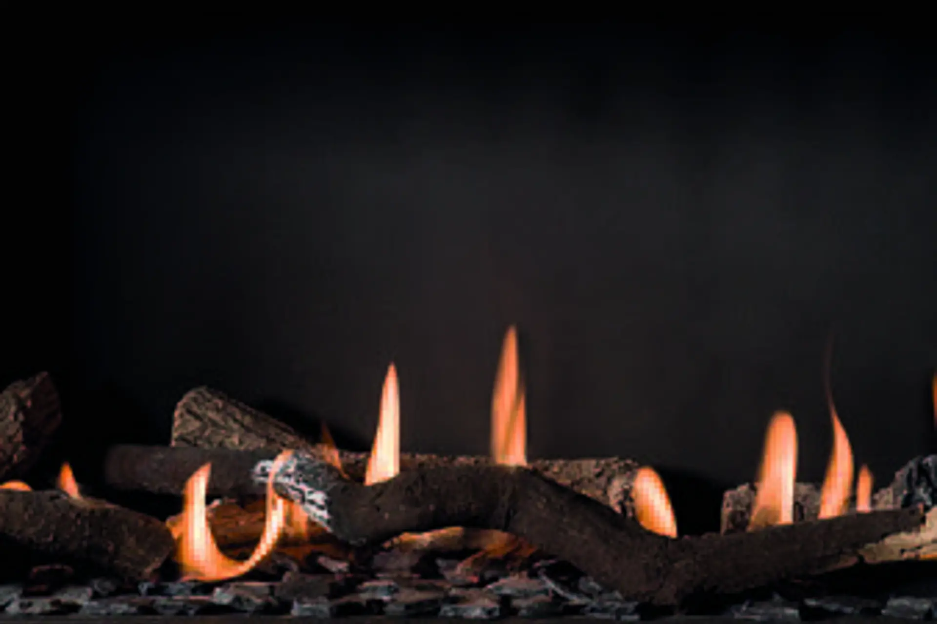 Barbasbellfires Houtstammen