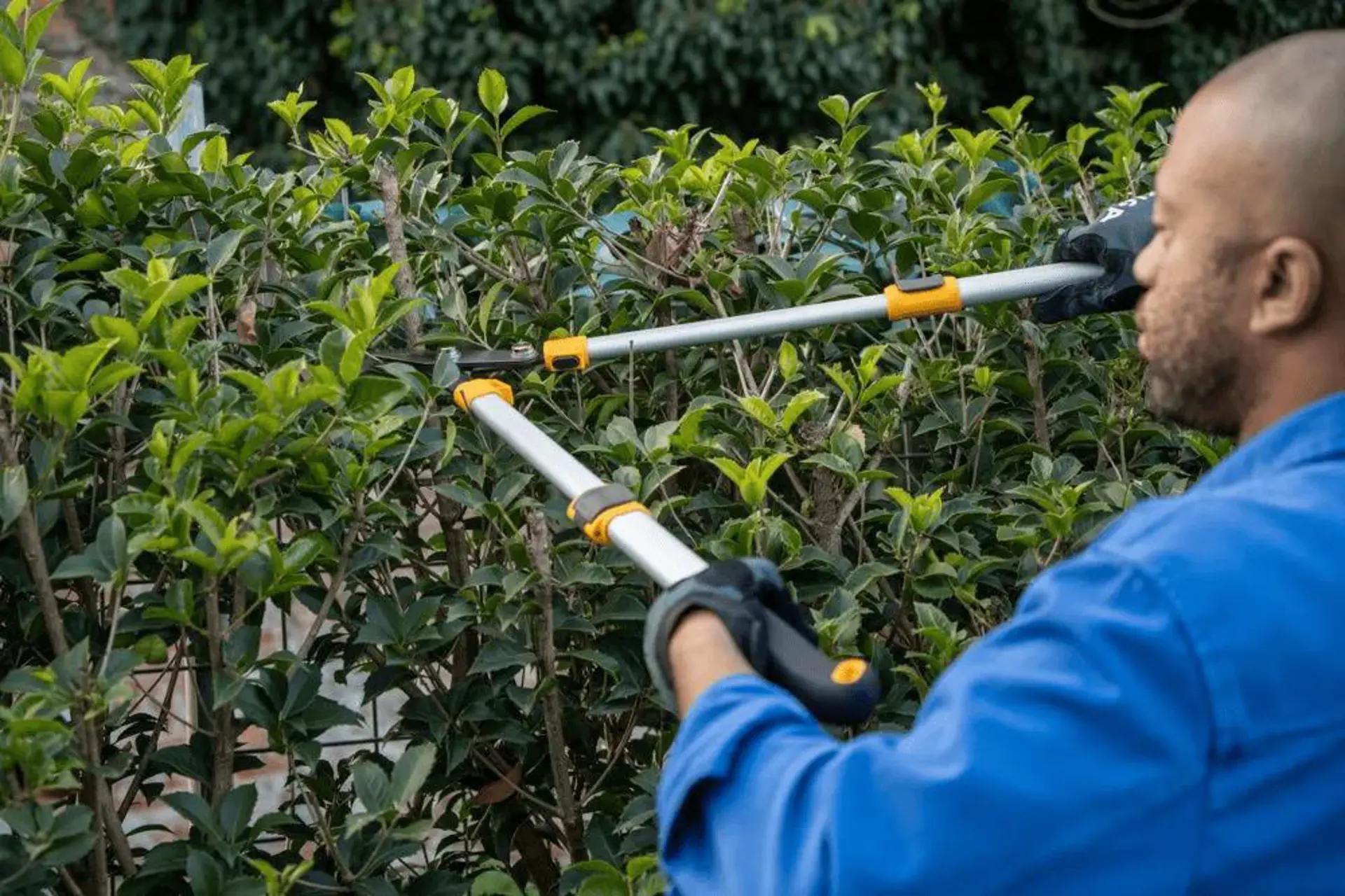 Telescopische takkenschaar 2.png