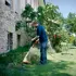 Stihl FSE 31 2.jpg