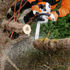 39559.png (1)